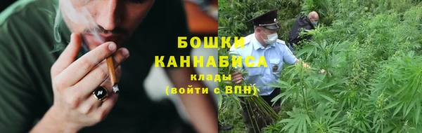 шишки Нефтегорск