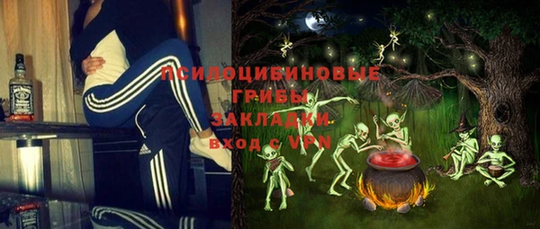 шишки Нефтегорск