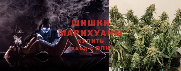 шишки Нефтегорск