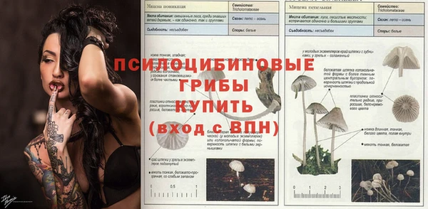шишки Нефтегорск