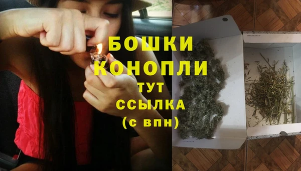 шишки Нефтегорск