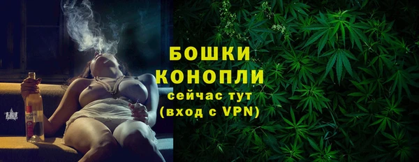 шишки Нефтегорск