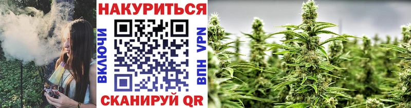 Марихуана планчик  Таштагол 